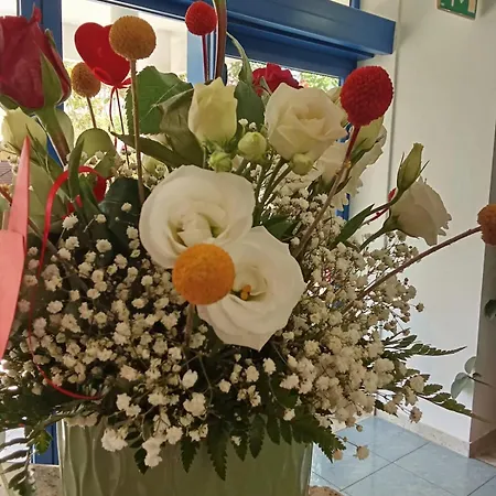 酒店 Smeraldo 托尔托雷托