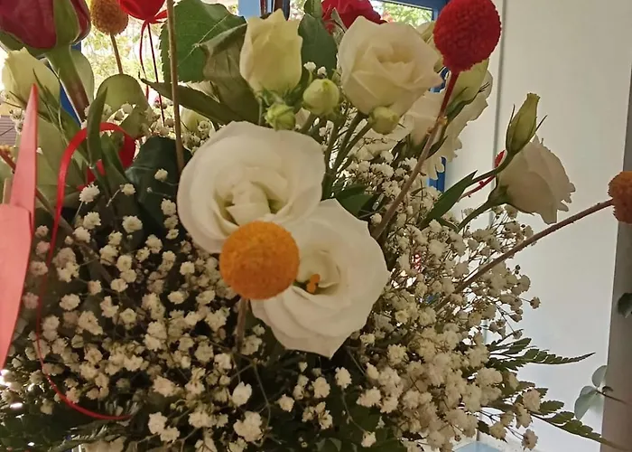 Hotel Smeraldo Tortoreto